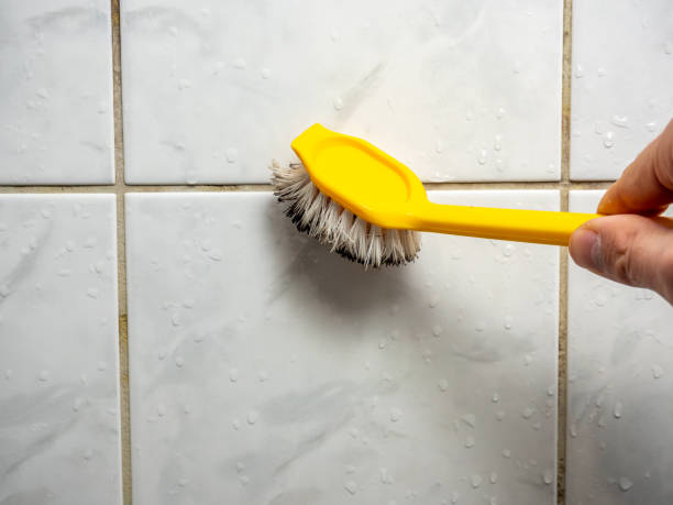 Best Fast Mold Removal  in Manhattan, IL