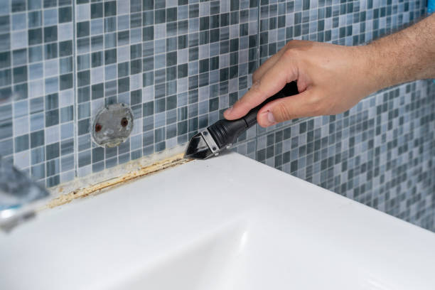 Best Same-Day Mold Removal  in Manhattan, IL